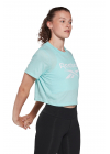 Koszulka Reebok Identity - GI6688
